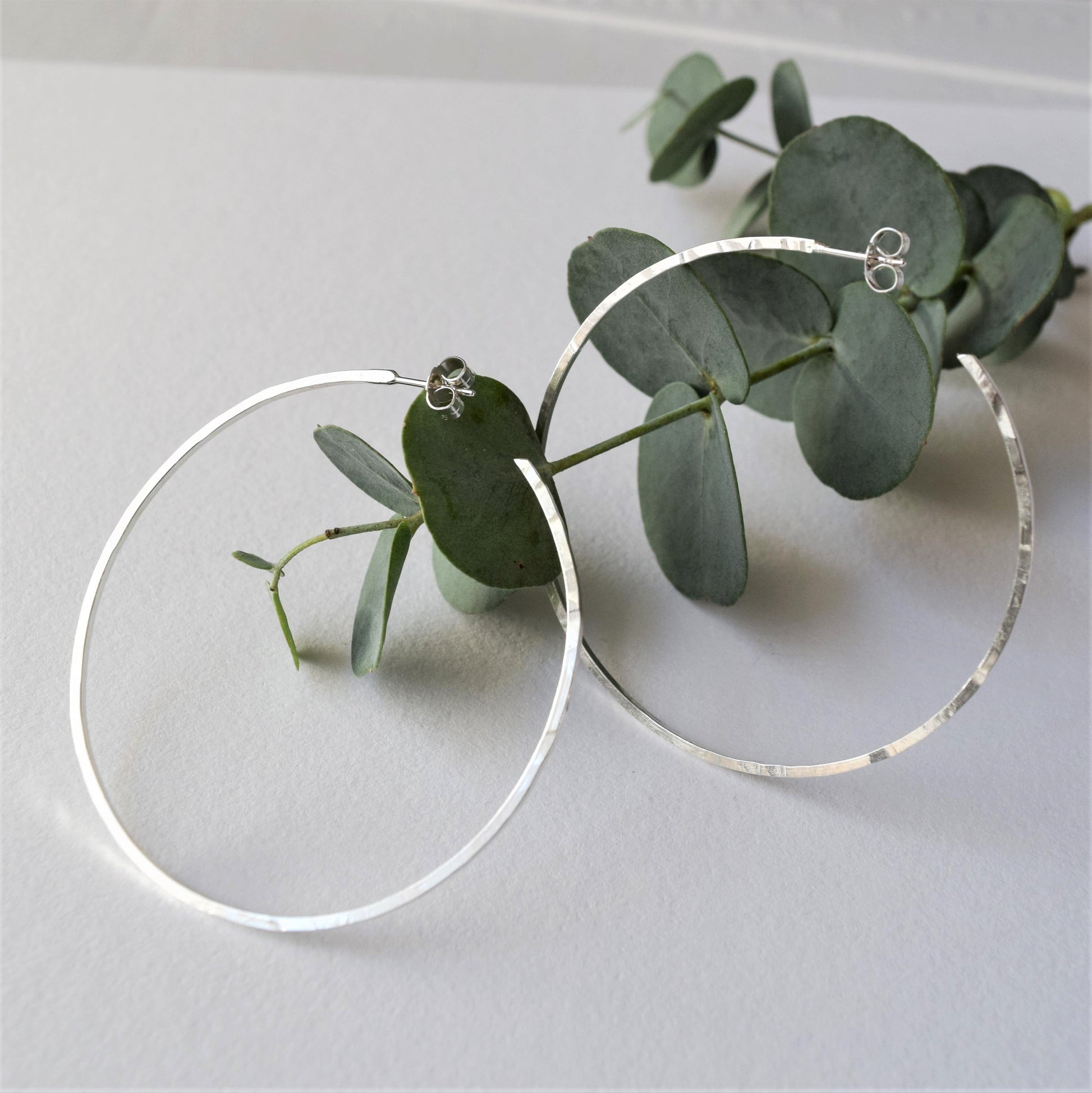 large silver hoop earrings resting against eucalyptus