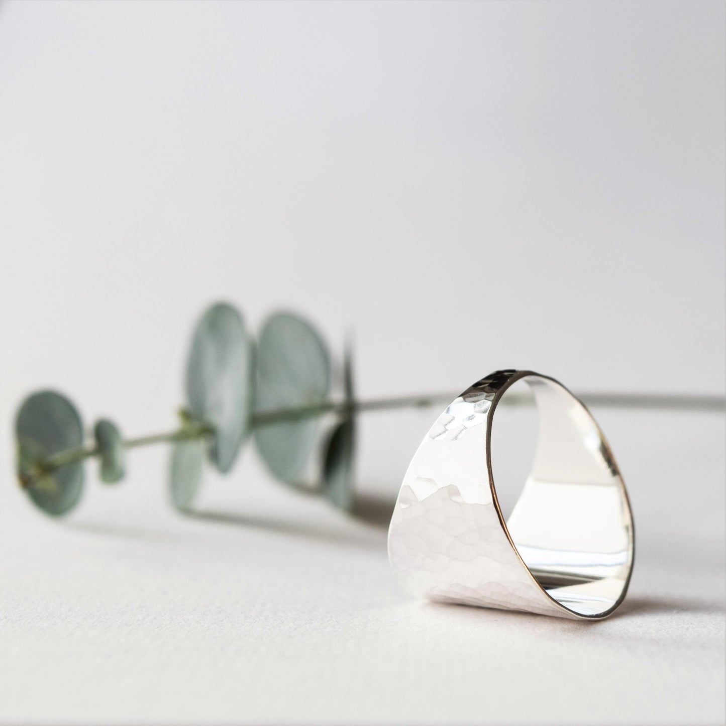 product image of shield ring
