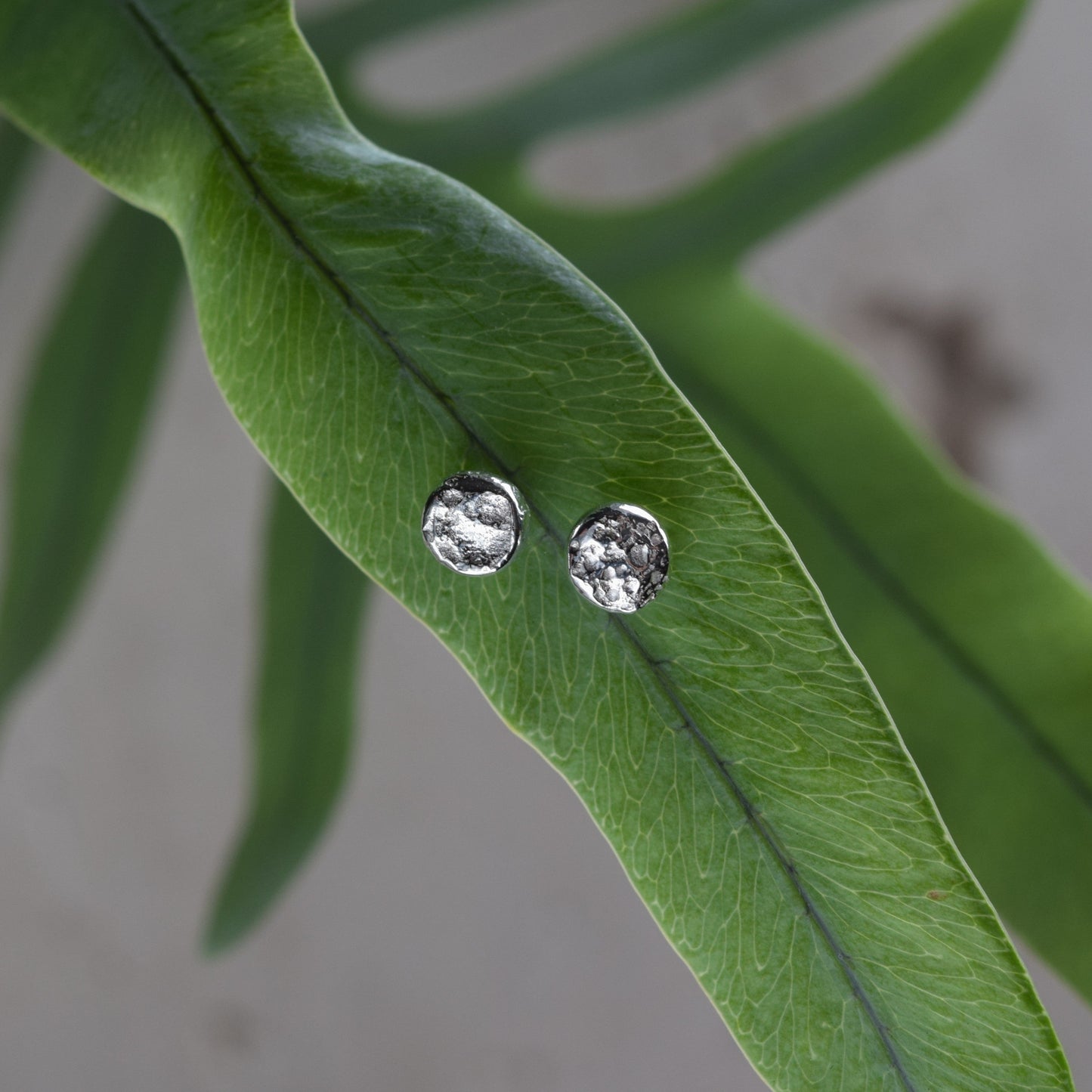 Rosie Studs