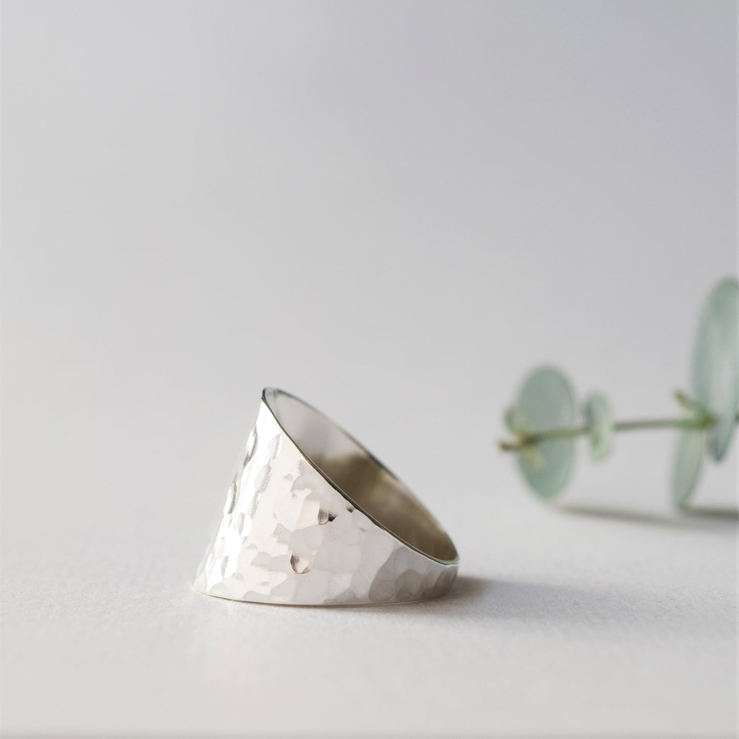 product image of shield ring